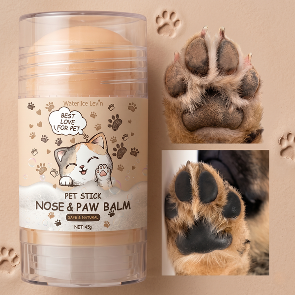 Cracked Dog Paws UK: The Complete Guide to Causes, Treatment & Prevention (2026)