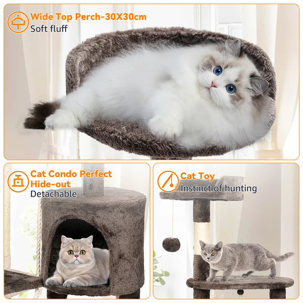 Preparing Your Home for a Kitten UK: The Complete Guide to Kitten-Proofing, Essential Cat Furniture & Safe First Days for New Cat Owners (2026)