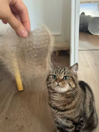 Customer pet