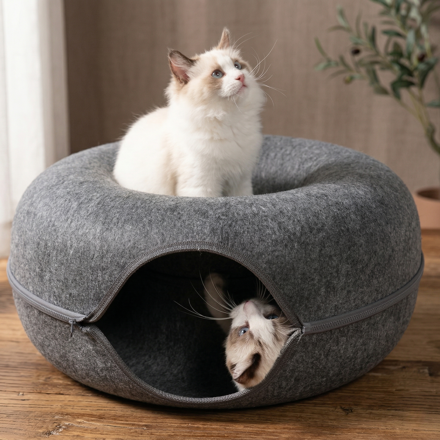 Cat Tunnel Bed: The Complete Guide to Enrichment & Anxiety Relief for Indoor Cats (2026)