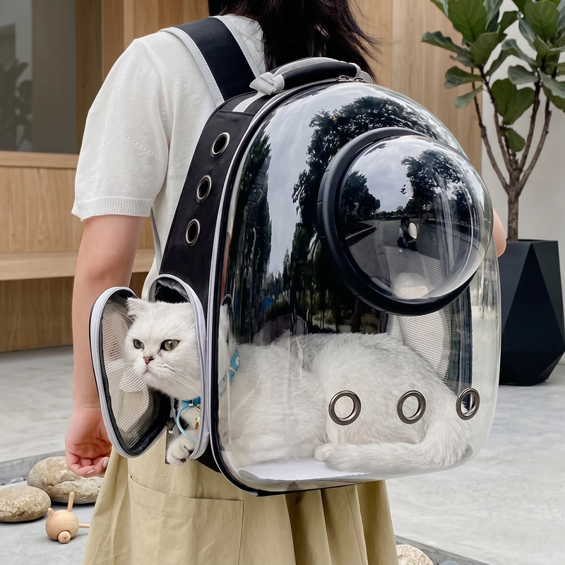Why Does My Cat Hate the Carrier? The Complete Guide to Carrier Anxiety, Travel Stress & Stress-Free Journeys (2026)