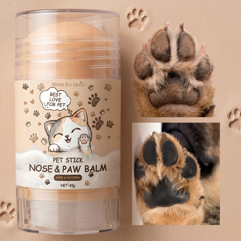 Cracked Dog Paws UK: The Complete Guide to Causes, Treatment & Prevention (2026)