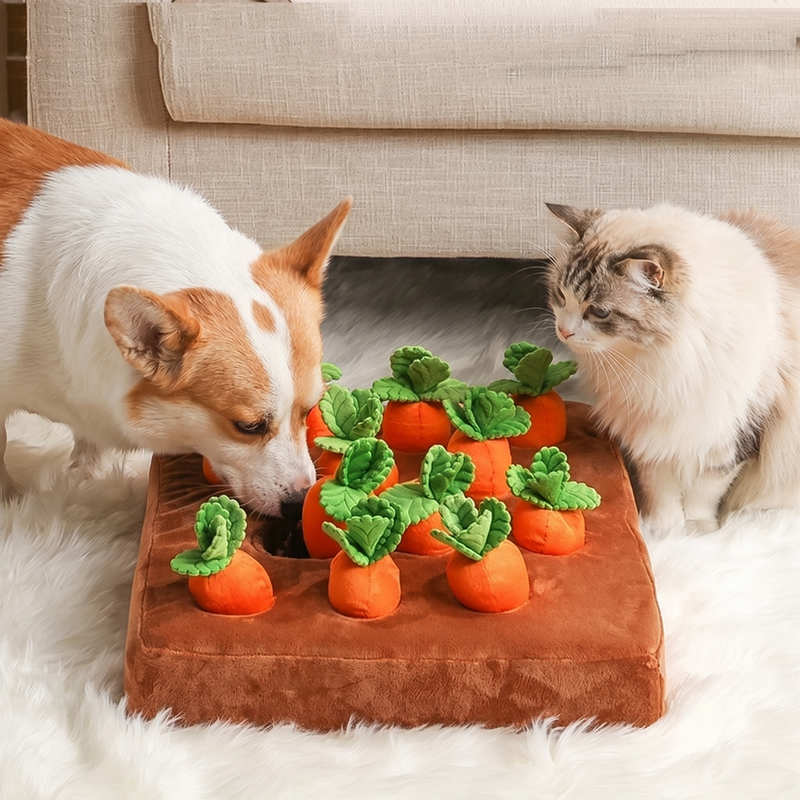 Rainy Day Dog Enrichment UK: The Complete Guide to Indoor Nose Work, Brain Games & Keeping Your Dog Happy When Walks Are Cancelled (2026)