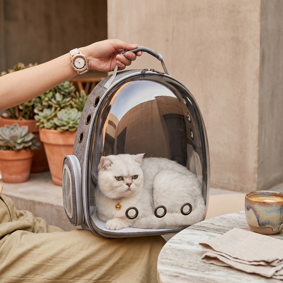 Cat Carrier Backpack: The Complete Guide to Stress-Free Cat Travel (2026)