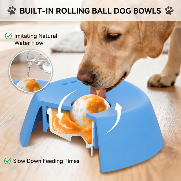 Moving House with a Dog UK: The Complete Guide to Stress-Free Relocation, Calming Techniques & Settling Your Dog Into a New Home (2026)