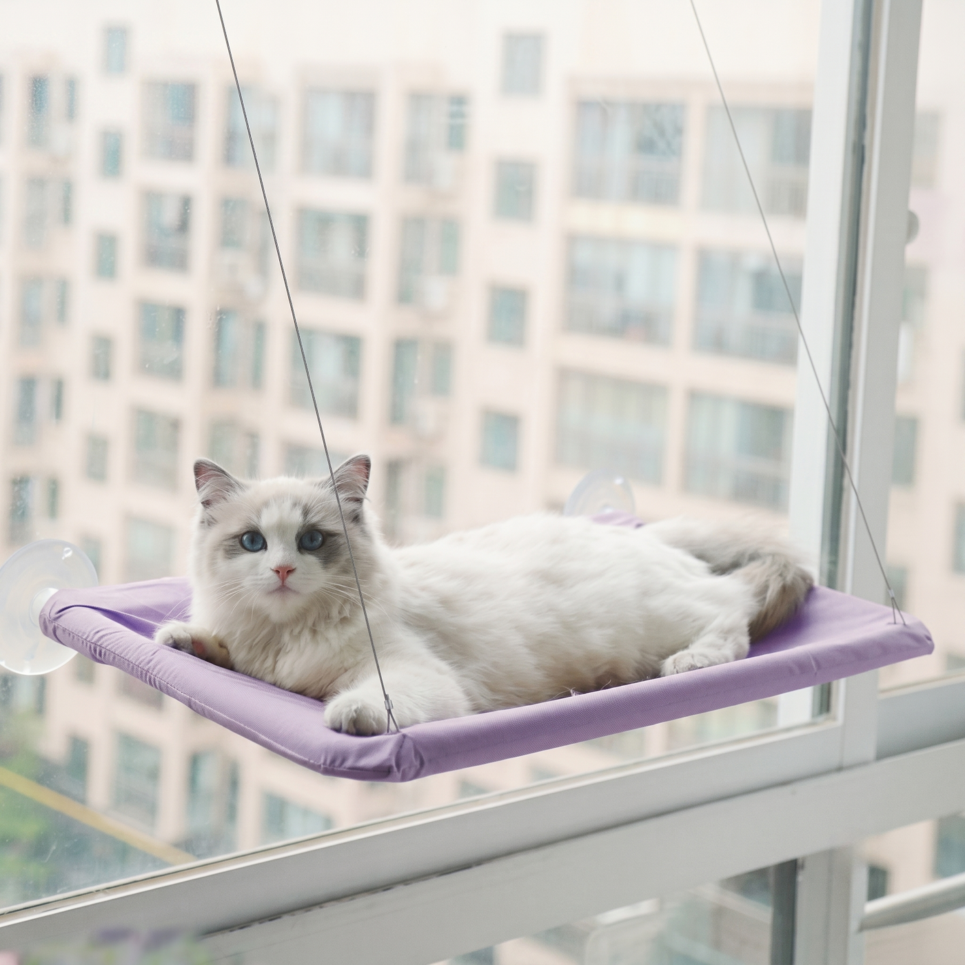 Why Does My Cat Want to Go Outside? The Complete Guide to Indoor Cat Frustration, Door Dashing & Safe Enrichment (2026)