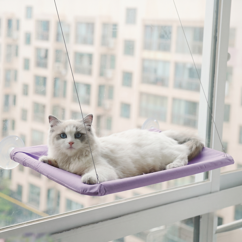 Why Does My Cat Want to Go Outside? The Complete Guide to Indoor Cat Frustration, Door Dashing & Safe Enrichment (2026)