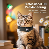 Tabby cat wearing CozyPaws collar camera indoors — professional HD pet monitoring with comfortable lightweight design - Image 1