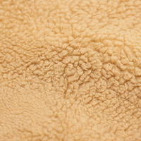 CozyPaws™ self-warming pet pad close-up — thick soft beige polyester plush surface texture detail, gentle on sensitive skin for cats and dogs - Image 5