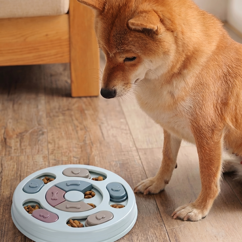 Shiba Inu dog exploring CozyPaws interactive puzzle feeder on wooden floor
