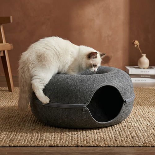 CozyPaws™ Cat Tunnel Bed with Ragdoll cat exploring donut cave entrance – felt cat tunnel bed for indoor cats
