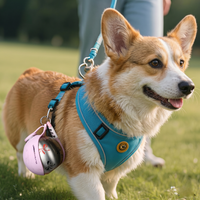 CozyPaws™ pink portable dog water bottle clipped to Corgi's teal harness during outdoor walk — snap hook lanyard attached to harness D-ring, stainless steel sphere body with bow decals, owner visible in background on grass - Image 4