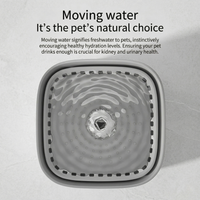 CozyPaws™ pet water fountain disassembled showing all parts for easy cleaning
