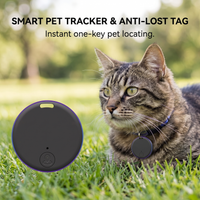 Tabby cat on grass wearing collar with black CozyPaws Bluetooth tracker tag for instant one-key pet locating - Image 3